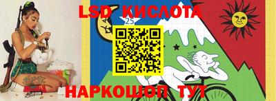Альфа ПВП Новодвинск